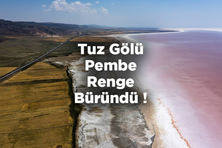 Tuz Gölü Pembe Renge Büründü!