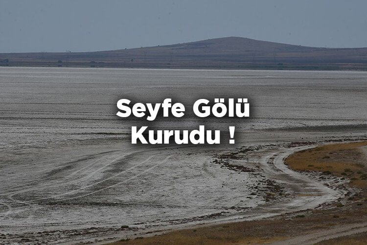 187 Kuş Türüne Ev Sahipliği Yapan Seyfe Gölü Kurudu!