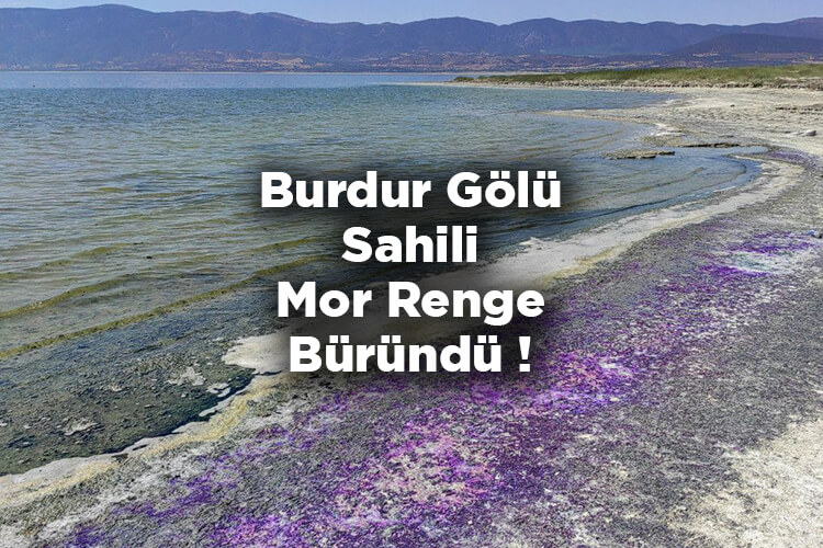 Burdur Gölü Sahili Mor Renge Büründü!