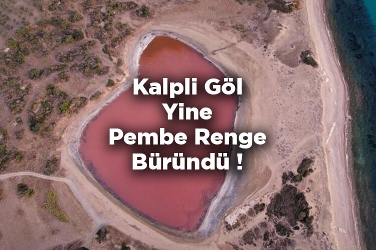 Kalpli Göl Yine Pembe Renge Büründü! - Pembe Göl Nerede Ve Nasıl Gidilir?