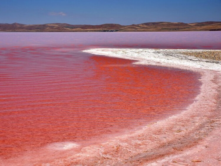 Kalpli Göl Yine Pembe Renge Büründü