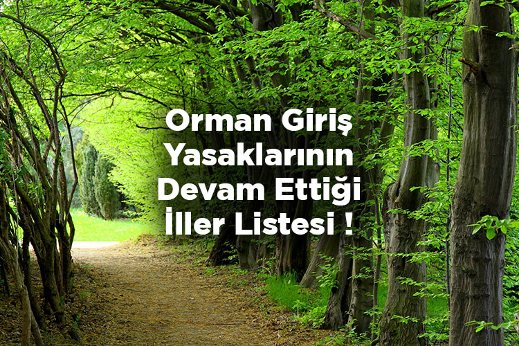 Ormanlara Giriş Yasakları Devam Ediyor Mu? Orman Giriş Yasaklarının Devam Ettiği İller Listesi