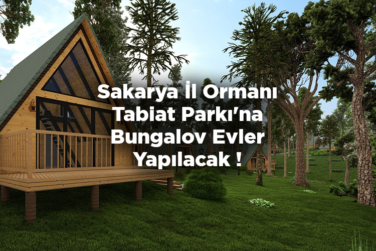 Sakarya İl Ormanı Tabiat Parkı'na Bungalov Evler Yapılacak!