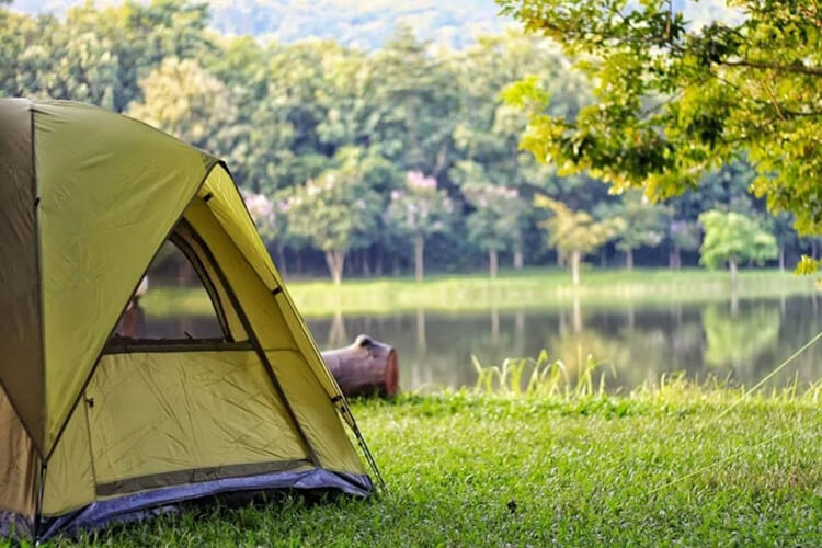 2- Çocukların Doğa Bilinci Ve Doğa Sevgisi Artar