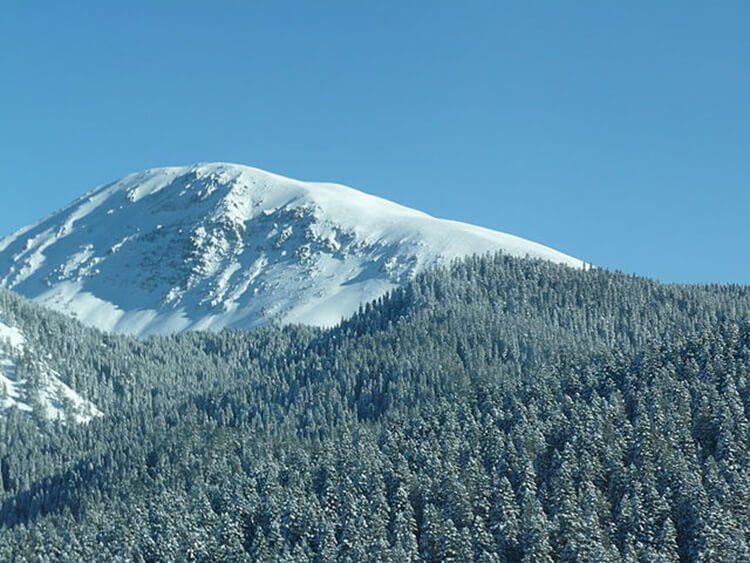 10- Ilgaz