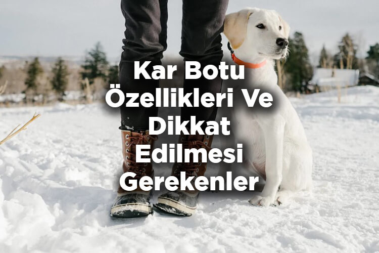 Kar Botu Seçerken Dikkat Edilmesi Gerekenler - Kar Botu Özellikleri Nelerdir?
