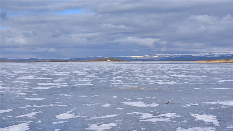 Ağrı, Kars Ve Ardahan'da Dere Ve Göletler Buz Tuttu