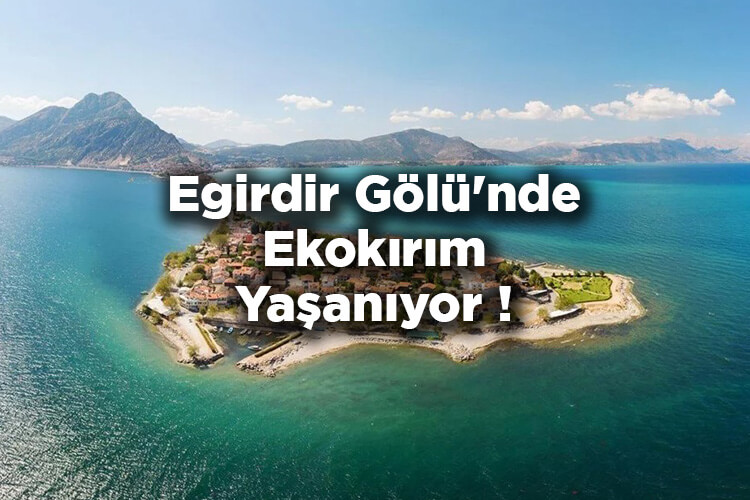 Egirdir Gölü'nde Ekokırım Yaşanıyor! Balıklar Yok Oldu
