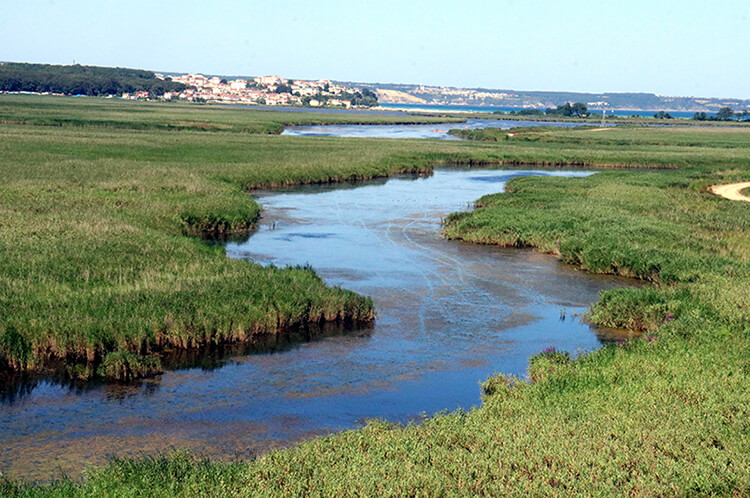 İğneada Kano Turu Nerede Yapılır?