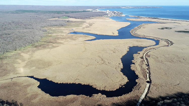 İğneada Longoz Ormanlarında Su Seviyesi Arttı Mert Gölü Denizle Birleşti