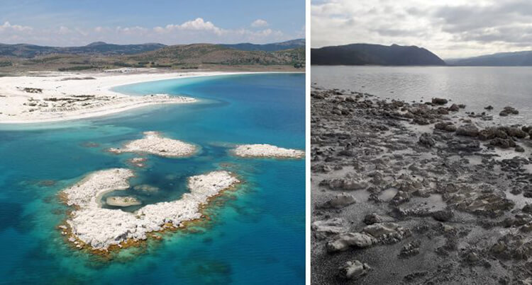 Salda Gölü'nde Kararma İstilacıdır Her Yere Yayılabilir