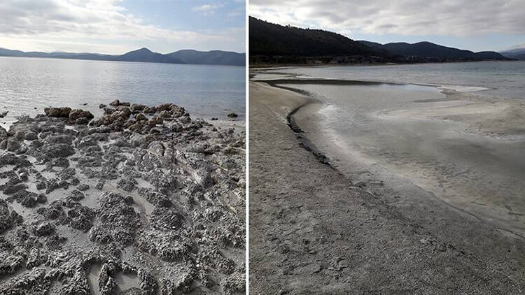 Salda Gölü'nde Kararmanın Nedeni Belli Oldu