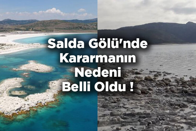 Salda Gölü'nde Kararmanın Nedeni Belli Oldu