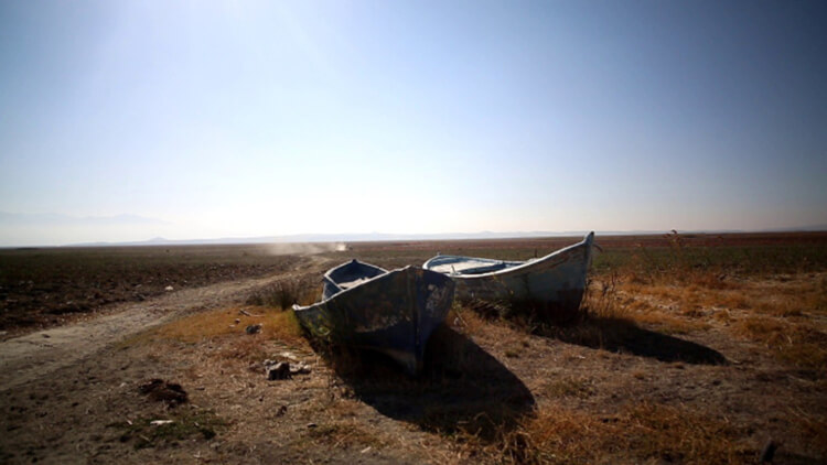 Su Kaplumbağaları Susuzluktan Köy Çeşmesine Kadar Gitti