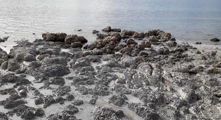 Yeşilova Kaymakamı Erdem Yenisoy'dan Açıklama Geldi