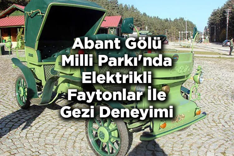 Abant Gölü Milli Parkı'nda Elektrikli Faytonlar İle Gezi Deneyimi