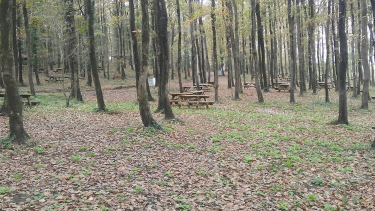 Avcıkoru Tabiat Parkı Açılış ve Kapanış Saatleri