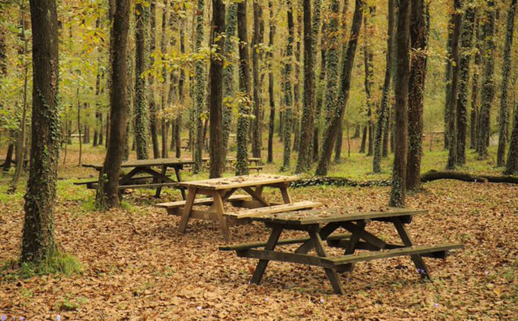 Avcıkoru Tabiat Parkı Hakkında Kısa Bilgilendirme