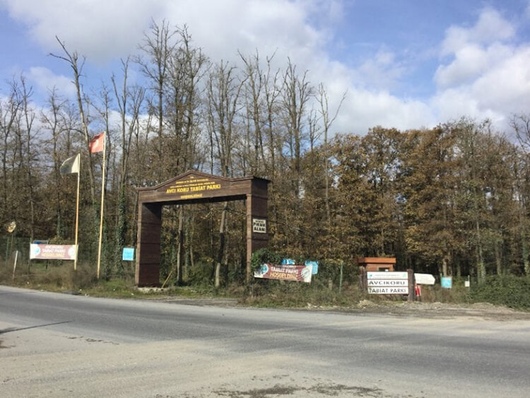 Avcıkoru Tabiat Parkı'nın Faunası