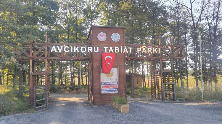 Avcıkoru Tabiat Parkı'nın Bitki Örtüsü