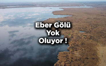 Eber Gölü'nde Alarm: Suların Çekildiği Eber Gölü Yok Oluyor!