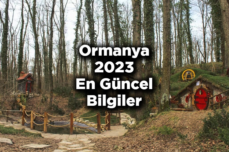 Ormanya Nerede Ve Nasıl Gidilir? - Hobbit Evleri 2023 Giriş Ücretleri
