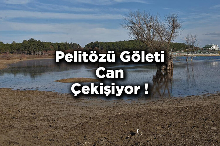 Pelitözü Göleti’nde Sular Kıyıdan Yaklaşık 30 Metre Çekildi!
