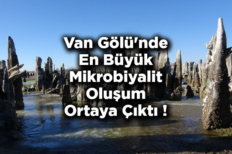 Van Gölü'nde En Büyük Mikrobiyalit Oluşum Ortaya Çıktı!