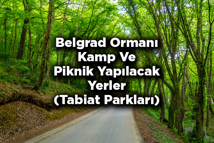 Belgrad Ormanı Tabiat Parkları