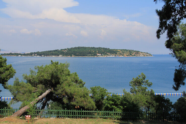 Büyükada Tabiat Parkı Nerede Ve Nasıl Gidilir?