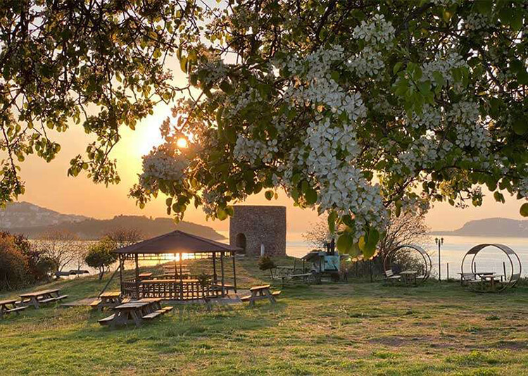 Değirmenburnu Tabiat Parkı 2023 Giriş Ücretleri - Değirmenburnu Tabiat Parkı 2023 Piknik Ve Plaj Ücretleri
