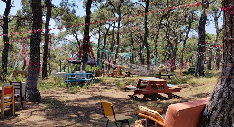 Dilburnu Tabiat Parkı Nerede Ve Nasıl Gidilir?