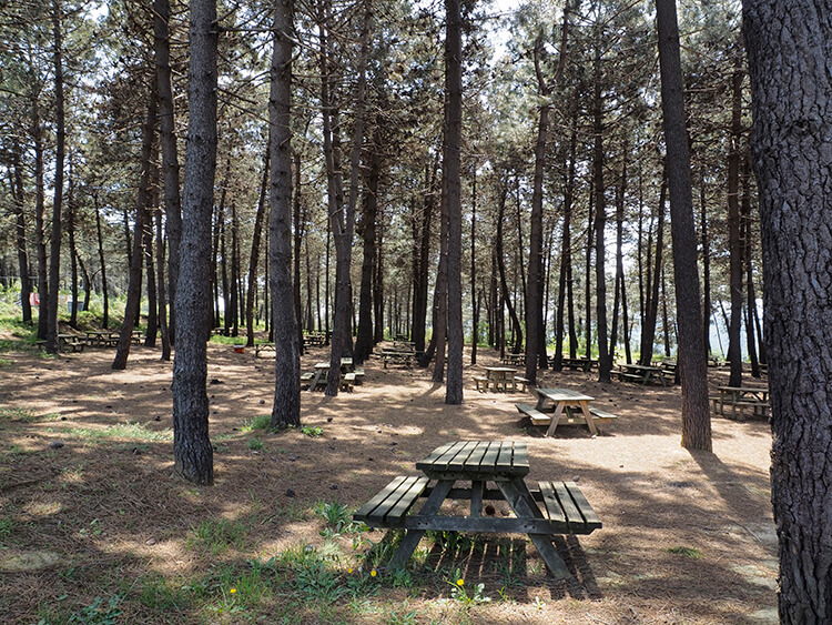 Göztepe Tabiat Parkı'nda Bulunan İmkanlar Ve Sosyal Tesisler