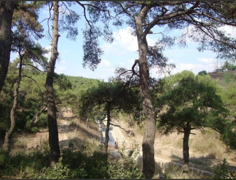 Hacet Deresi Tabiat Parkı 2023 Giriş Ücretleri - Hacet Deresi Tabiat Parkı 2023 Giriş Ücreti Ne Kadar?