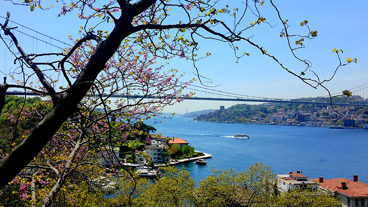 Mihrabat Tabiat Parkı 2023 Giriş Ücretleri - Mihrabat Korusu 2023 Giriş Ücretleri Ne Kadar?