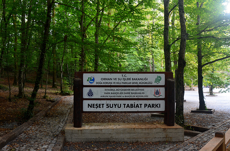 Neşetsuyu Tabiat Parkı Nerede Ve Nasıl Gidilir?