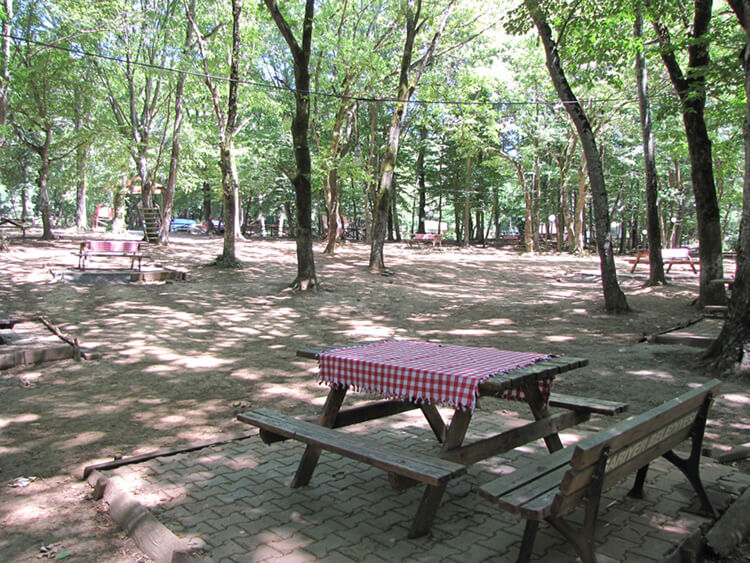 Neşetsuyu Tabiat Parkı'nda Bulunan Sosyal Tesisler Ve İmkanlar