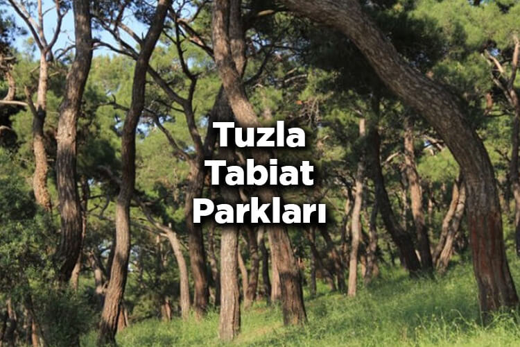 Tuzla Tabiat Parkları
