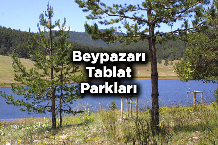 Beypazarı Tabiat Parkları