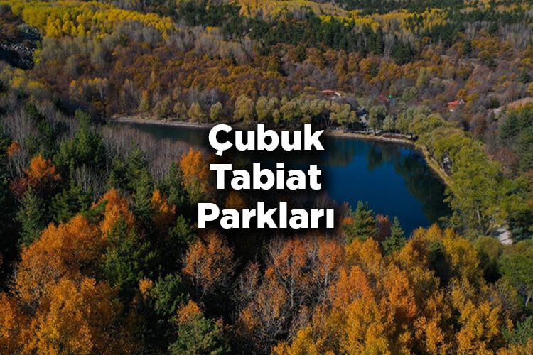 Çubuk Tabiat Parkları