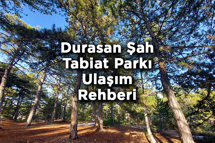 Durasan Şah Tabiat Parkı Nerede Ve Nasıl Gidilir?
