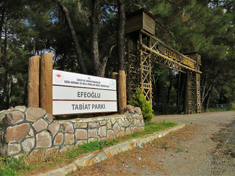 Efeoğlu Tabiat Parkı Nerede Ve Nasıl Gidilir?