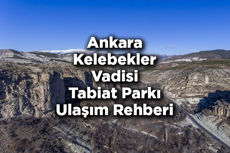 Kelebekler Vadisi Tabiat Parkı Nerede Ve Nasıl Gidilir?