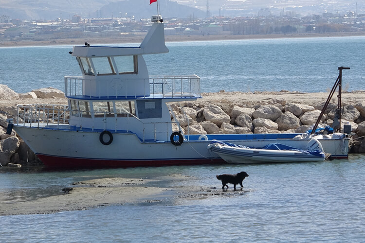 Van Gölü Su Kaybetmeye Devam Ediyor
