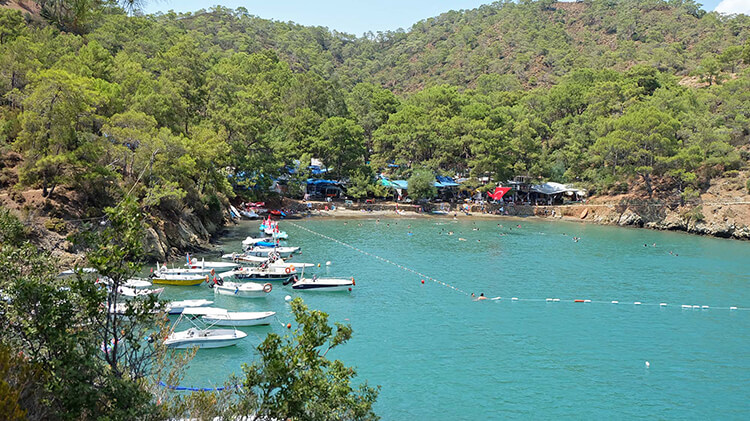 Fethiye Katrancı Orman Kampı 2023 Fiyatları - Katrancı Orman Kampı 2023 Ücretleri Ne Kadar?