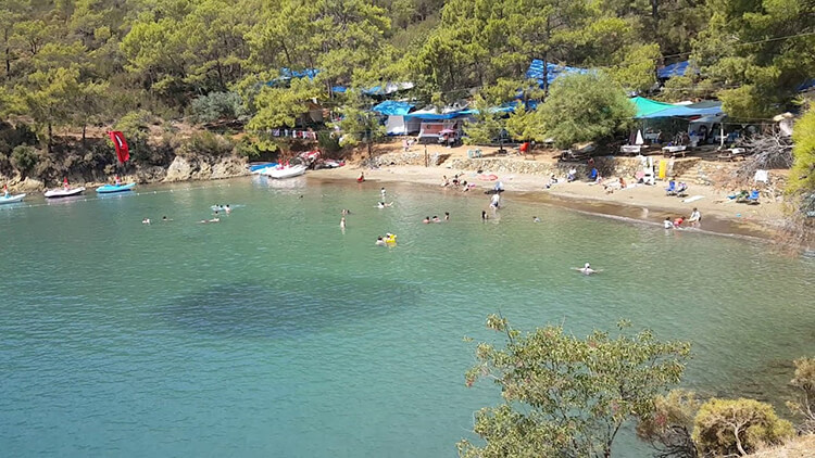 Katrancı Orman Kampı Nerede Ve Nasıl Gidilir?