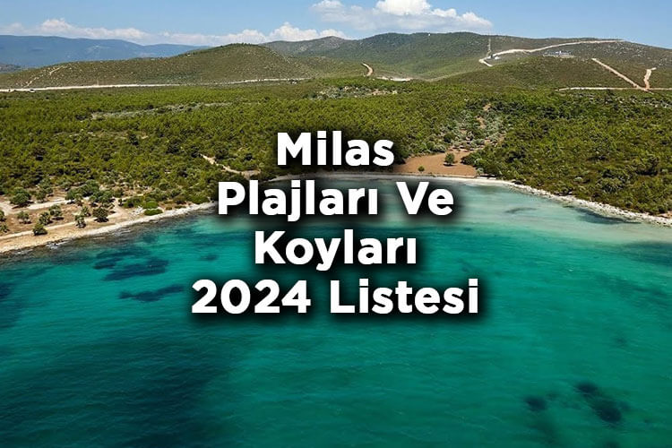 Milas Plajları Ve Koyları 2024 Listesi - Milas'ta Denize Girilecek Yerler 2024