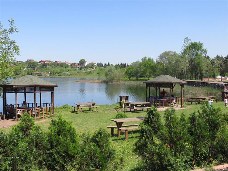 Poyrazlar Gölü Tabiat Parkı Nerede Ve Nasıl Gidilir?