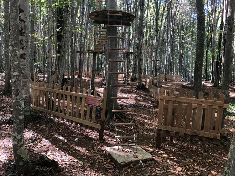 Eriklitepe Tabiat Parkı'nda Hangi İmkanlar Var?