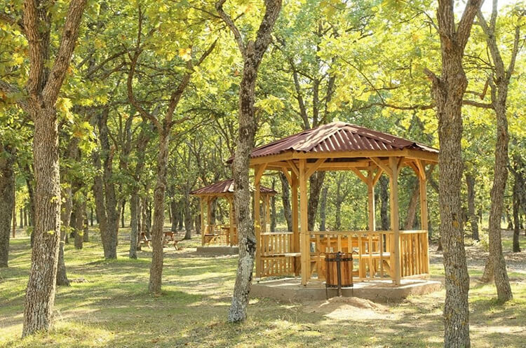 Kavaklımeşe Korusu Tabiat Parkı'nda Bulunan İmkanlar Ve Olanaklar